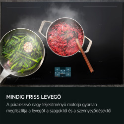 AEG DPE5660M Kihúzható páraelszívó