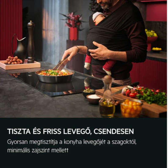 AEG GDP866PB Kihúzható páraelszívó